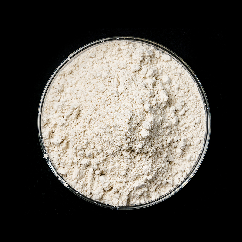 Multi-Functional Flame-Retardant Sepiolite Charring Agent ZF-C-520